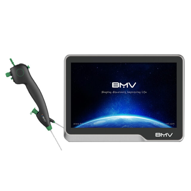 BeEndo Robotic™ BVI-2258 Series Single-use Flexible Endoscope System
